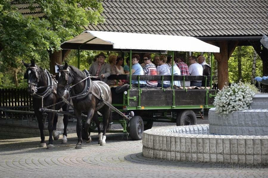 فندق Rogowفي  Park Lesny 'U Kaczyny' المظهر الخارجي الصورة