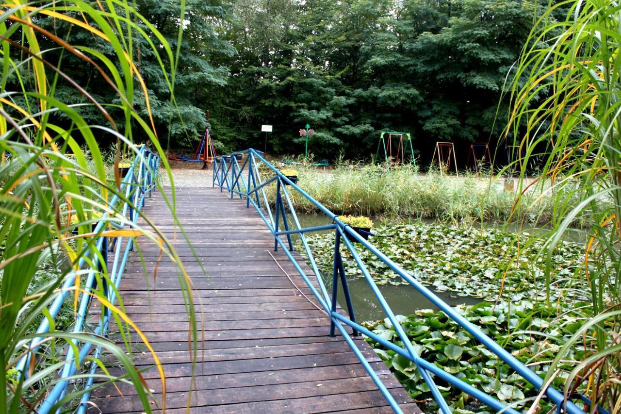 فندق Rogowفي  Park Lesny 'U Kaczyny' المظهر الخارجي الصورة