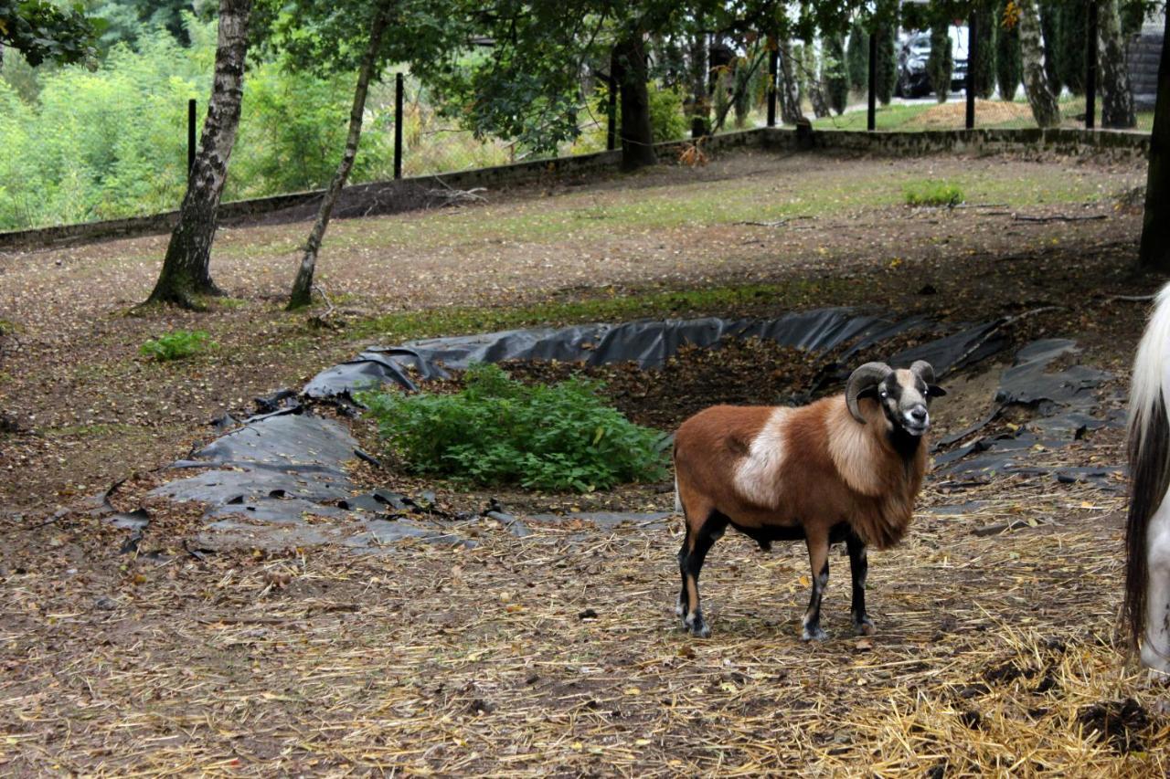 فندق Rogowفي  Park Lesny 'U Kaczyny' المظهر الخارجي الصورة